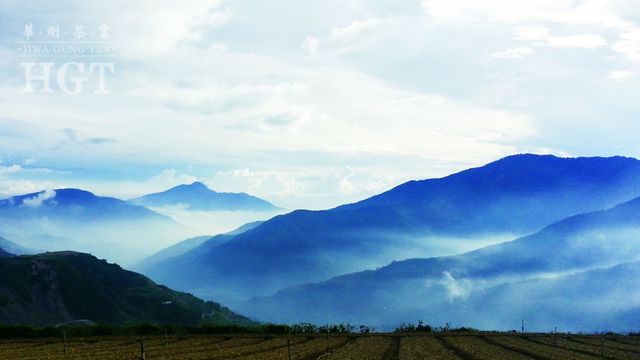 4. Góry otoczone wilgotną mgłą. Wymarzone warunki dla wysokogórskiej herbaty Oolong